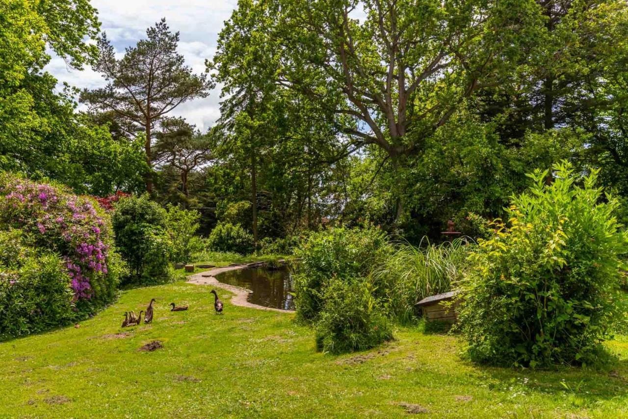 Host & Stay - The Eiders Aylmerton Buitenkant foto